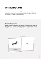 Aperçu - Fiches - Insects / Insectes: Vocabulary Cards (Cartes de mots) - Page 1