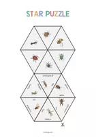 Aperçu - Jeux - Insects / Insectes: Star Puzzle (Jeu pour le cours d'anglais) - Page 2