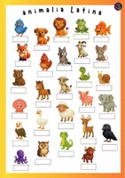 Vorschau - Arbeitsblätter - Latein Poster und Arbeitsblatt: Tiere auf Latein (animalia) - Seite 3
