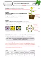 Vorschau - Fördermaterial/Inklusion - Biologie Test Klasse 6/7 Blütenpflanzen + Zieldifferenziert - Seite 1
