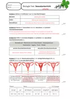 Vorschau - Fördermaterial/Inklusion - Biologie Test Klasse 8 Sexualunterricht + Zieldifferenziert - Seite 1