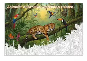 Vista previa - Manualidades / Dibujos para colorear - Animales de la selva - Aprendo y coloreo - Portada