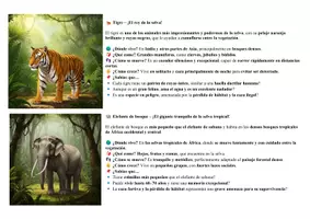 Vista previa - Manualidades / Dibujos para colorear - Animales de la selva - Aprendo y coloreo - página 3