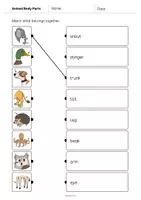 Aperçu - Cartes d'exercices - Animal Body Parts / Parties du corps des animaux: Draw the lines 2 (Fiche d'exercices d'anglais) - Page 2