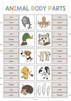 Aperçu - Cartes / Images - CLIP CARDS: Pack XXL de ressources pour les cours d’anglais - Page 3