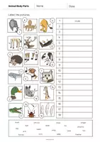Aperçu - Fiches - Animal Body Parts / Parties du corps des animaux: Vocabulary Worksheet 2 (Fiche d'exercices d'anglais) - Page 3