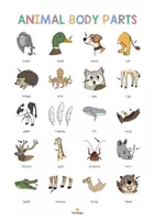 Aperçu - Affichage - VOCABULARY POSTER: Pack XXL de ressources pour les cours d’anglais - Page 3