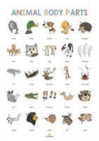 Aperçu - Affichage - Animal Body Parts / Parties du corps des animaux: Vocabulary Poster (Affiche pour le cours d'anglais) - Page 3