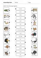 Aperçu - Cartes d'exercices - Animal Body Parts / Parties du corps des animaux: Draw the lines 1 (Fiche d'exercices d'anglais) - Page 3