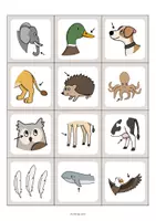 Aperçu - Jeux - Animal Body Parts / Parties du corps des animaux: Floppi (Jeu pour le cours d'anglais) - Page 2