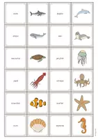 Aperçu - Jeux - In the Sea / Dans la mer: Memo Game (Jeu pour le cours d'anglais) - Page 2