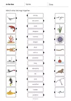 Aperçu - Cartes d'exercices - In the Sea / Dans la mer: Draw the lines 1 (Fiche d'exercices d'anglais) - Page 3