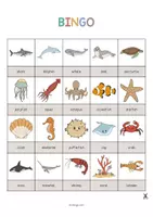 Aperçu - Jeux - IN THE SEA: Pack XXL de ressources pour les cours d’anglais (la mer) - Page 3