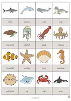 Aperçu - Jeux - In the Sea / Dans la mer: Drawing Game (Jeu pour le cours d'anglais) - Page 2