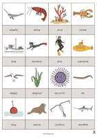 Aperçu - Jeux - In the Sea / Dans la mer: Drawing Game (Jeu pour le cours d'anglais) - Page 3