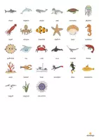 Aperçu - Jeux - In the Sea / Dans la mer: Vocabulary Game (Jeu pour le cours d'anglais) - Page 3