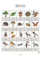 Aperçu - Jeux - Forest / Forêt: Bingo (Jeu pour le cours d'anglais) - Page 2