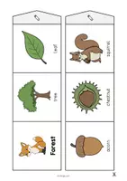 Aperçu - Fiches - Forest / Forêt: Accordion Fold (Jeu pour le cours d'anglais) - Page 3
