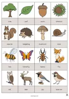 Aperçu - Jeux - Forest / Forêt: Drawing Game (Jeu pour le cours d'anglais) - Page 2