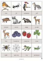 Aperçu - Jeux - Forest / Forêt: Drawing Game (Jeu pour le cours d'anglais) - Page 3
