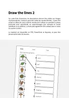 Aperçu - Cartes d'exercices - Forest / Forêt: Draw the lines 2 (Fiche d'exercices d'anglais) - Page 1