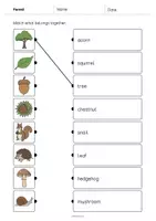 Aperçu - Cartes d'exercices - Forest / Forêt: Draw the lines 2 (Fiche d'exercices d'anglais) - Page 2