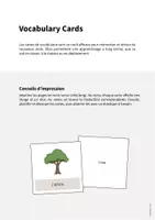 Aperçu - Fiches - Forest / Forêt: Vocabulary Cards (Cartes de mots) - Page 1