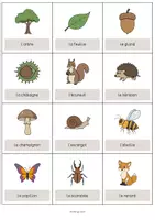 Aperçu - Fiches - Forest / Forêt: Vocabulary Cards (Cartes de mots) - Page 2