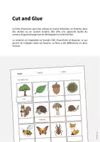 Aperçu - Matériel pour travaux manuels / dessin - Forest / Forêt: Cut and Glue (Fiche d'exercices d'anglais) - Page 1