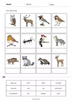 Aperçu - Matériel pour travaux manuels / dessin - Forest / Forêt: Cut and Glue (Fiche d'exercices d'anglais) - Page 3