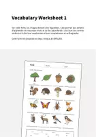 Aperçu - Fiches - Forest / Forêt: Vocabulary Worksheet 1 (Fiche d'exercices d'anglais) - Page 1