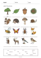 Aperçu - Fiches - Forest / Forêt: Vocabulary Worksheet 1 (Fiche d'exercices d'anglais) - Page 3