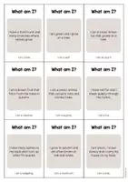 Aperçu - Jeux - WHAT AM I: Pack XXL de ressources pour les cours d’anglais - Page 3