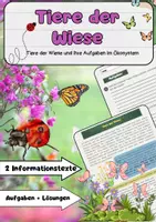 Vorschau - Arbeitsblätter - Tiere der Wiese – Lebensraum Wiese einfach erklärt - Deckblatt