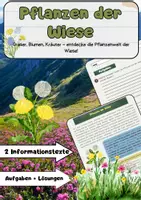 Vorschau - Arbeitsblätter - Lebensraum Wiese Materialpaket - Seite 1