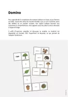 Aperçu - Jeux - Forest / Forêt: Domino (Jeu pour le cours d'anglais) - Page 1