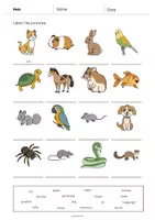Aperçu - Fiches - Pets / Animaux de compagnie: Vocabulary Worksheet 1 (Fiche d'exercices d'anglais) - Page 3