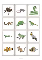 Aperçu - Jeux - Pets / Animaux de compagnie: Floppi (Jeu pour le cours d'anglais) - Page 3