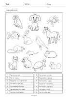 Aperçu - Cartes d'exercices - Pets / Animaux de compagnie: Read and Color 1 (Fiche d'exercices d'anglais) - Page 2