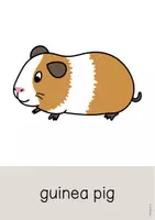 Aperçu - Affichage - Pets / Animaux de compagnie: Word and Picture Cards (Cartes avec images pour le cours d'anglais) - Page 3