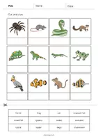 Aperçu - Matériel pour travaux manuels / dessin - Pets / Animaux de compagnie: Cut and Glue (Fiche d'exercices d'anglais) - Page 3