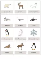 Aperçu - Fiches - Arctic & Antarctic / Arctique et Antarctique: Vocabulary Cards (Cartes de mots) - Page 2