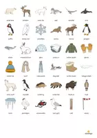 Aperçu - Jeux - Arctic & Antarctic / Arctique et Antarctique: Vocabulary Fitness (Fitness du vocabulaire) - Page 2