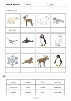 Aperçu - Matériel pour travaux manuels / dessin - Arctic & Antarctic / Arctique et Antarctique: Cut and Glue (Fiche d'exercices d'anglais) - Page 2