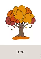 Aperçu - Affichage - Autumn / Automne: Word and Picture Cards (Cartes avec images pour le cours d'anglais) - Page 3
