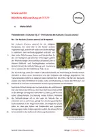 Vorschau - Test - Abiturprüfung Biologie - Koevolution Kuckuck (Evolution) - Seite 2