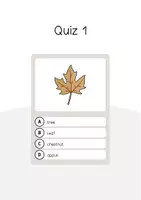 Aperçu - Jeux - Autumn / Automne: Vocabulary Quiz (Jeu de questions pour le cours d'anglais) - Page 3