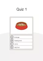 Aperçu - Jeux - Pet Shop / Animalerie: Vocabulary Quiz (Jeu de questions pour le cours d'anglais) - Page 3