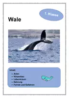 Vorschau - Arbeitsblätter - Wale - 1. Klasse - Deckblatt