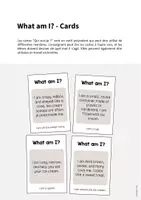 Aperçu - Jeux - Ice Cream Shop / Glacier: What am I? - Cards (Jeu pour le cours d'anglais) - Page 1